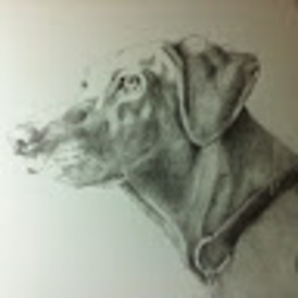 Meet your Posher, Bruce - Picture 1 of 1